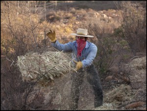 Pablo Rojas - El Mogor - Baja California - Mexique ludovic pollet copyright basse californie