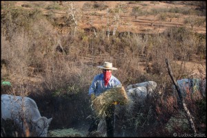 Pablo Rojas - El Mogor - Baja California - Mexique ludovic pollet copyright