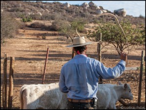 Pablo Rojas - El Mogor - Baja California - Mexique ludovic pollet copyright